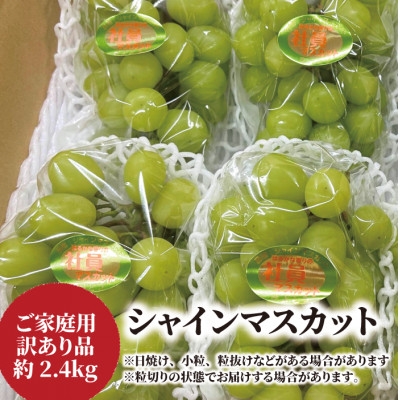 
            ＜きよとうファーム＞訳あり品 シャインマスカット/約2.4kg(岡山県産)_シャインマスカット ぶどう 葡萄 ブドウ マスカット 果物 くだもの フルーツ 訳あり 甘い 岡山県 津山市 産直 産地直送 家庭用 自宅用 送料無料【1602735】
          