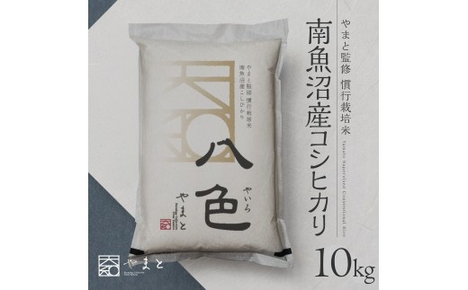 
                  【令和8年産 新米】南魚沼産コシヒカリ　八色　精米10kg(5kg×2)【銘柄米 ブランド米 精米 こしひかり コシヒカリ 魚沼産 新潟米 産地直送 お米 米 こめ コメ ご飯 御飯 ごはん】
                