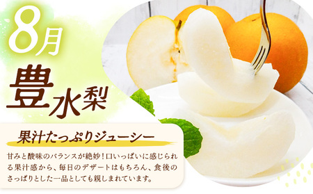 【3ヶ月定期便】梨 定期便 秀品 3ヶ月連続 梨の定期便 スペシャル 計15kg 日本フルーツ株式会社《8月上旬-10月末頃出荷》熊本県 長洲町 なし ナシ 豊水梨 秋月梨 新高梨 果物 フルーツ