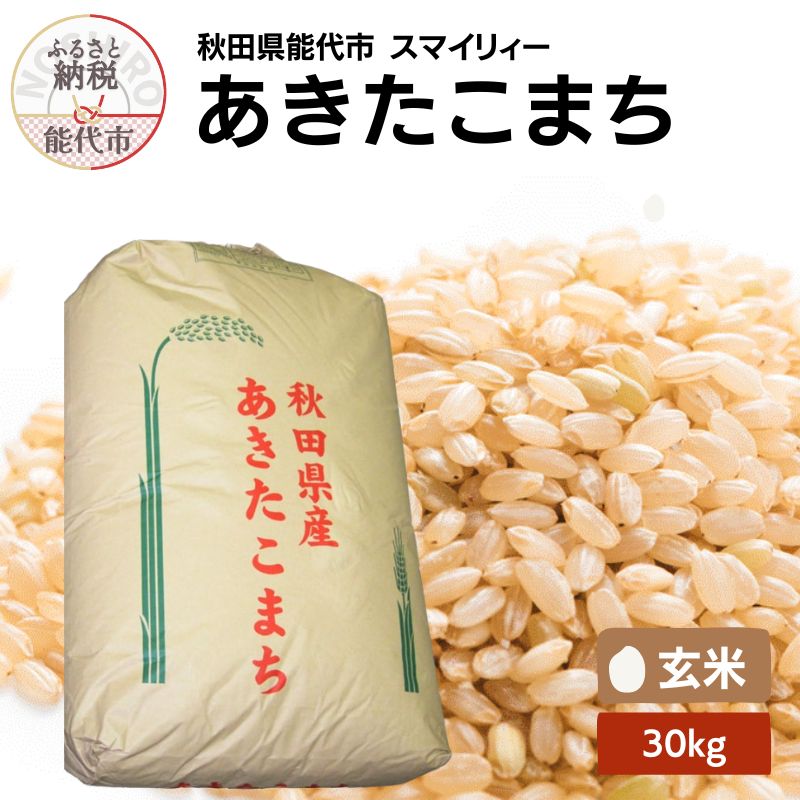 【先行予約】 令和7年産 あきたこまち 玄米 30kg 秋田県産 お米 米 ごはん ご飯 単一原料米