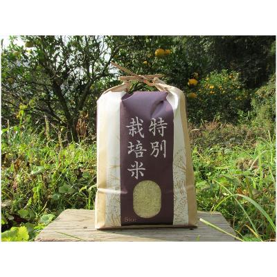 ふるさと納税 上郡町 【栽培期間中農薬不使用】『タガメの里・自然米』2025年産「ぴかまる」白米5kg