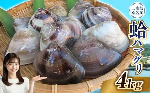 【指定日必須】 丸元水産 桑名産蛤（ハマグリ） 4.0kg はまぐり ハマグリ 蛤 天然 活 砂抜き済 肉厚 BBQ キャンプ 網焼き 魚介 貝 魚貝 活はまぐり 焼きはま 海鮮 網焼き 酒蒸し お吸い物 パエリア パスタ 桑名 日にち指定【2025年9月下旬から2026年6月下旬発送予定】