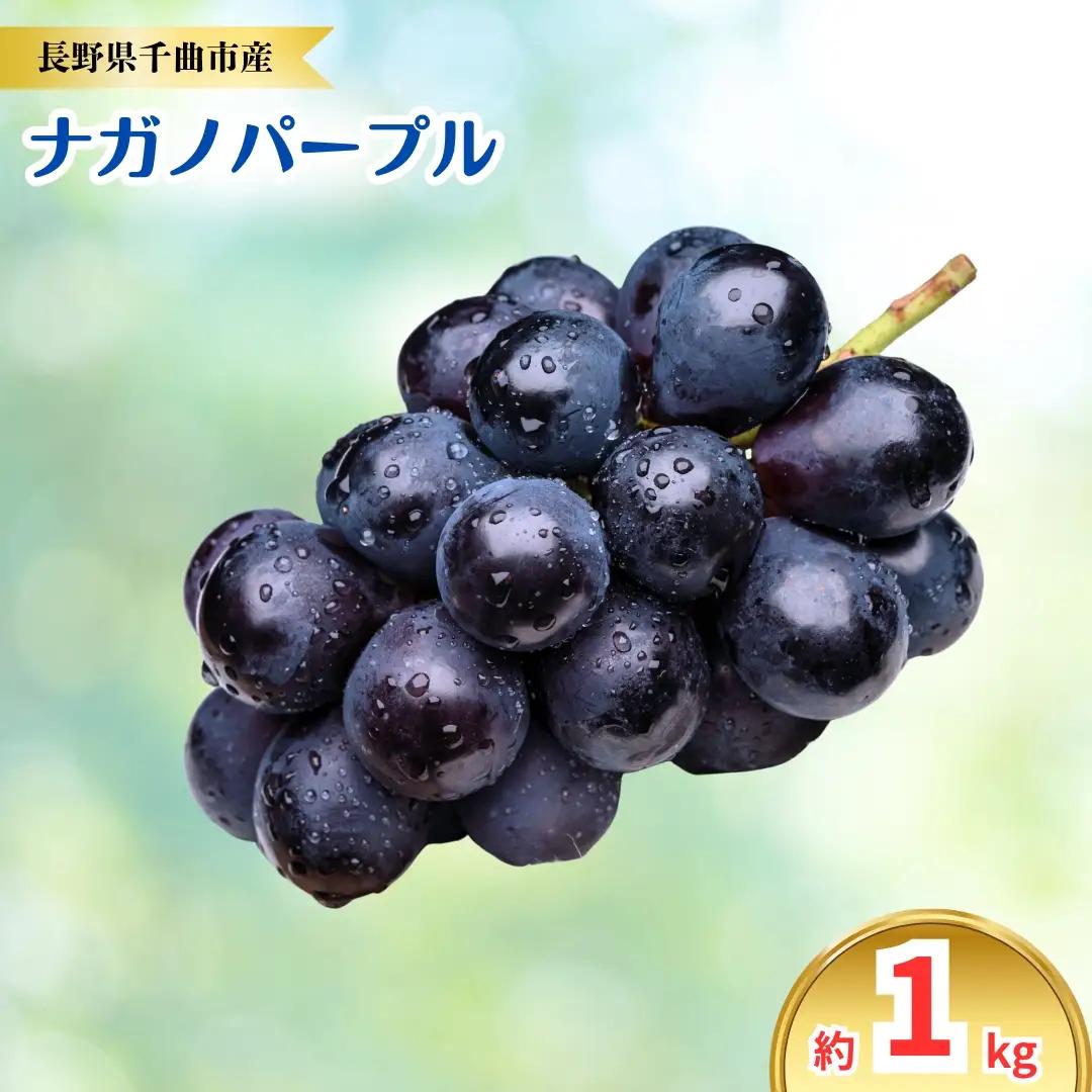 【2026年先行予約】ナガノパープル 約1kg｜ナガノパープル