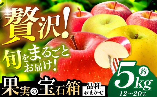 
                  【果実の宝石箱】信州梓川りんご プレミアムMIX  5kg(12～20玉) ｜ ふるさと納税 松本市 りんご リンゴ 果物 フルーツ 信州 美味しい 特選 長野県
                