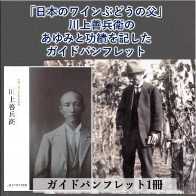 ふるさと納税 上越市 日本ワインの歴史を味わう岩の原ワインセット(赤白2本、冊子1冊) |  | 03