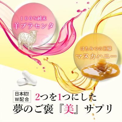 ふるさと納税 瑞浪市 プラセンタミー |  | 01