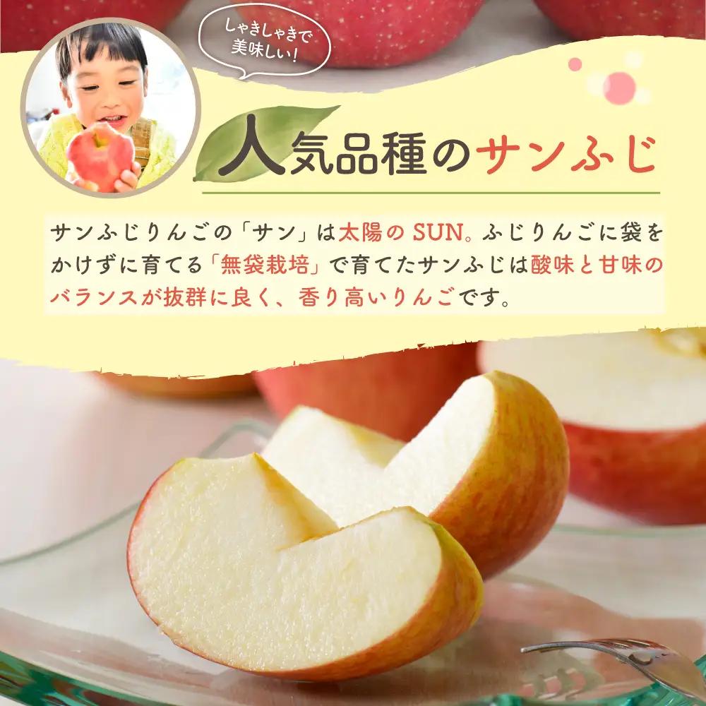 【2027年3月上旬発送】りんご 葉取らずサンふじ 10kg 程度 青森りんご