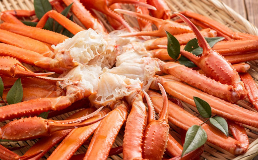 【先行予約】【訳あり 茹切 香住ガニ7～9肩（約1kg）冷蔵】令和7年9月中旬以降、カニの水揚げ次第順次発送予定 カニの本場 香住 1～2本指落ち、キズがあります。香住ガニの甘み、旨みを存分にお楽しみ