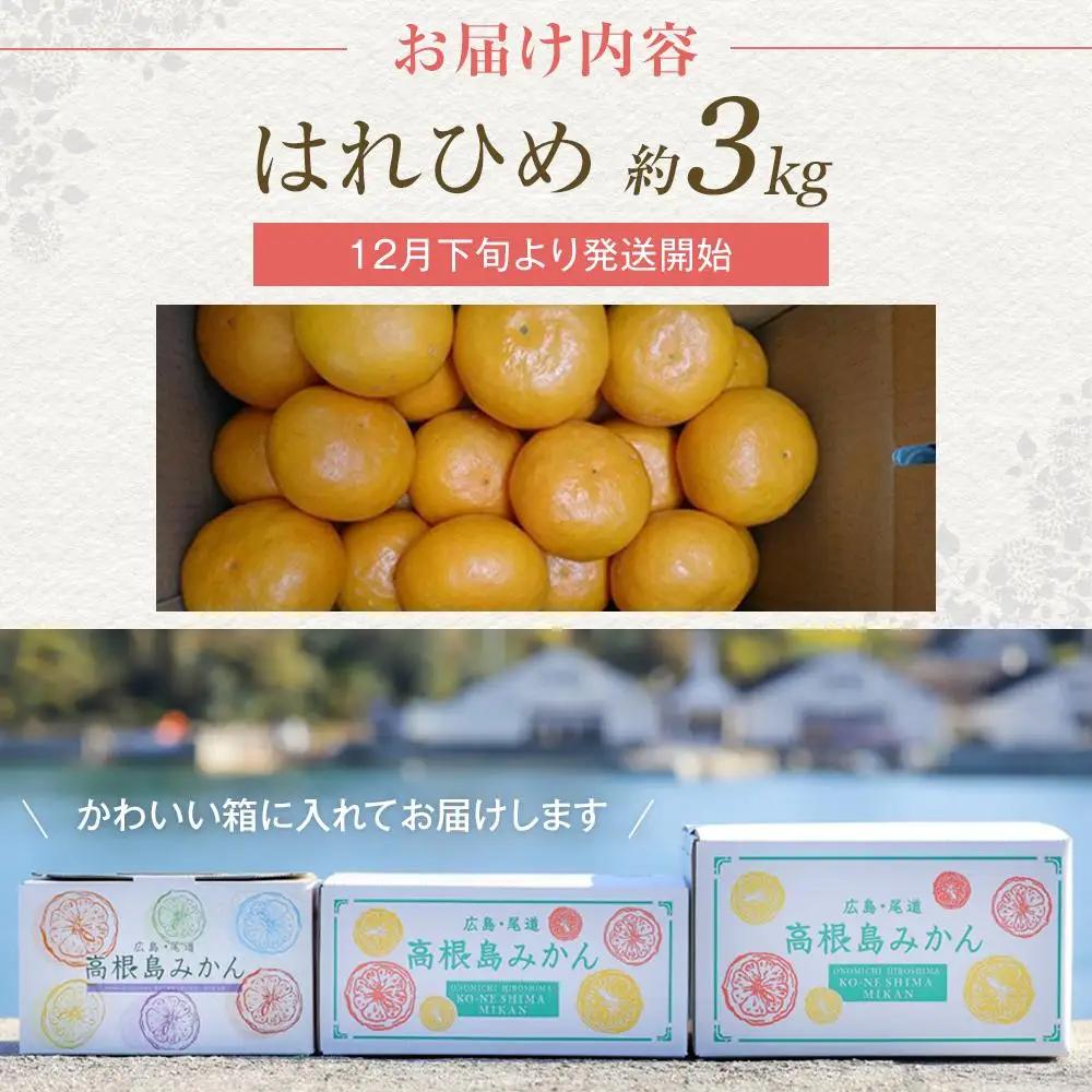 【先行予約】爽やかな香り！ はれひめ3kg ＜2026年12月下旬より発送開始＞