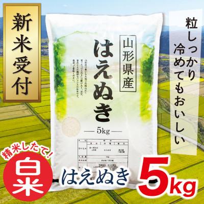 ふるさと納税 最上町 【令和8年産先行受付】山形県産はえぬき5kg(白米)