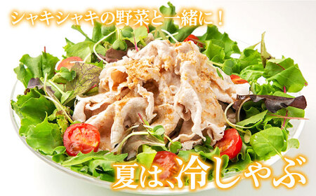 【全3回定期便】五島豚 しゃぶしゃぶ500g 五島市 / ニク勝 [PBF015] 豚肉 国産 しゃぶしゃぶ 豚肉 国産 しゃぶしゃぶ 豚肉 国産 しゃぶしゃぶ 豚肉 国産 しゃぶしゃぶ 豚肉 国産 