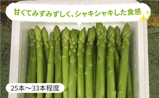 先行予約！受付は3/10まで！【26年3月中順次発送】アスパラガス 春芽 1kg（〇Lサイズ）吉野ケ里町/JAさが [FBE017]