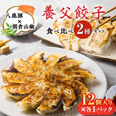 ふるさと納税 養父市 【特産品・八鹿豚×朝倉山椒がコラボ】養父餃子食べ比べセット(冷凍24個)/12個入り1パック×2