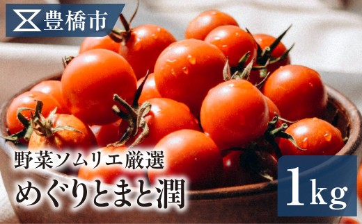 《先行予約》 ミニトマト 《先行予約》豊橋市産 産地直送 めぐりとまと潤(ミニトマト)1kg ミニトマト ミニトマト ミニトマト ミニトマト ミニトマト ミニトマト ミニトマト 豊橋市産 ミニトマト 豊橋市産 ミニトマト めぐりとまと潤 ミニトマト めぐりとまと潤 ミニトマト 豊橋 ミニトマト 豊橋 ミニトマト 豊橋市産 ミニトマト めぐりとまと潤 ミニトマト 豊橋 ミニトマト 豊橋市産