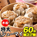 【ふるさと納税】【レンジで簡単！】本格特大肉シューマイ60個（50g×60個）.A1378