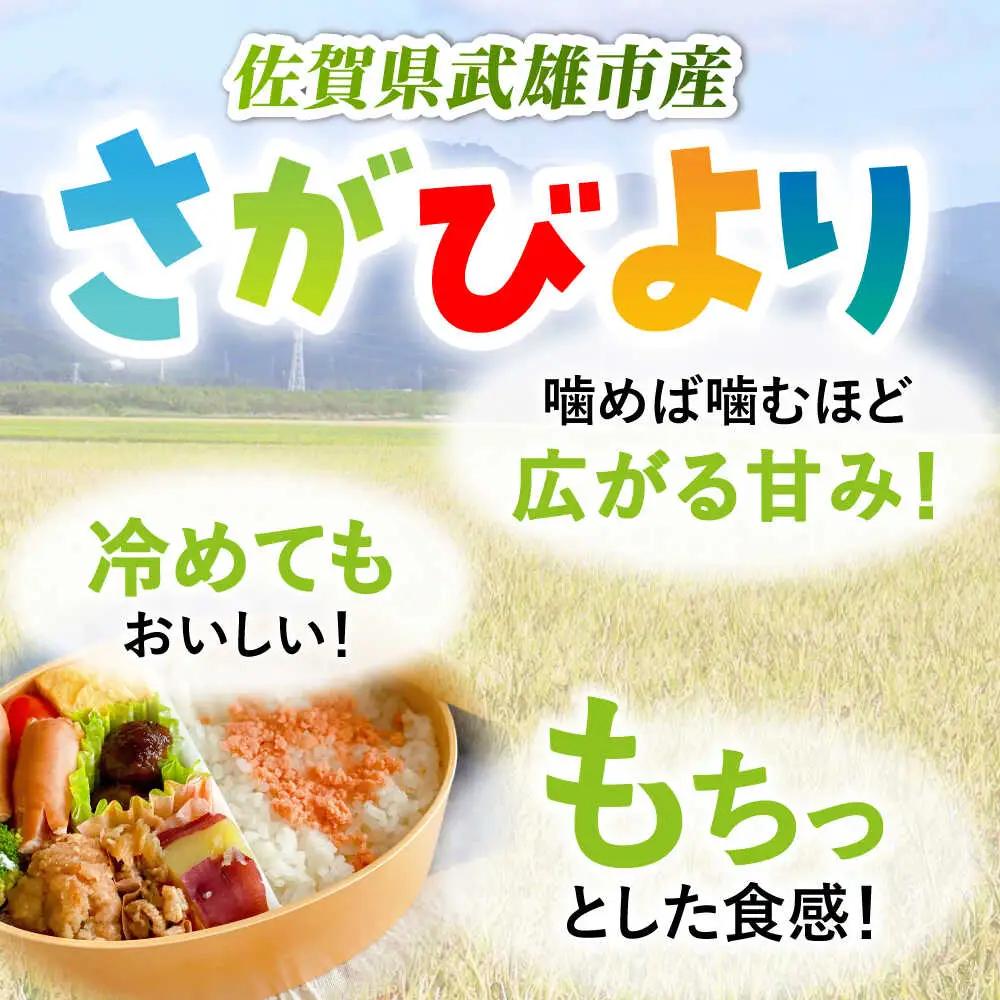 さがびより 白米 10kg [UDS001] 白米