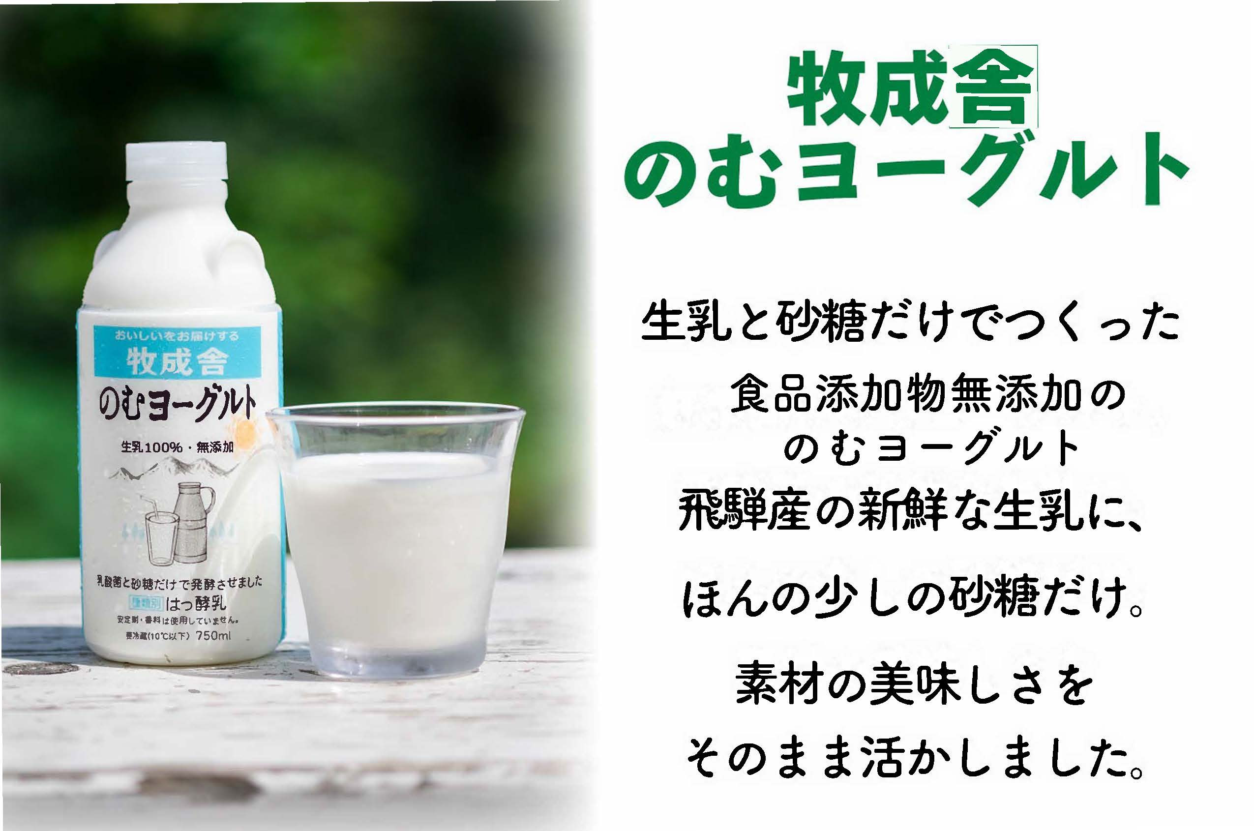 【飛騨産低温殺菌牛乳・飲むヨーグルトセット】牧成舎牛乳1000ml×2本／のむヨーグルト750ml×1本｜食品添加物不使用・濃厚・お取り寄せ・子どもにも｜ (有)牧成舎 DF044