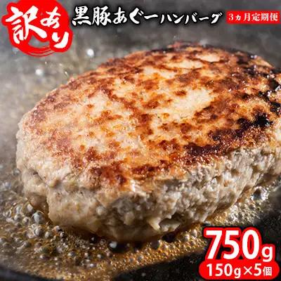 ハンバーグ【3ヵ月定期便】【訳あり】あぐー豚肉ハンバーグ 750g