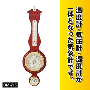 トラディション気象計 BM-715 [AJ054]