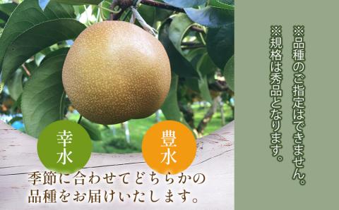 【令和6年産 先行予約】鶴岡市産 和梨（幸水or豊水）　約3kg　2L以上（秀品）