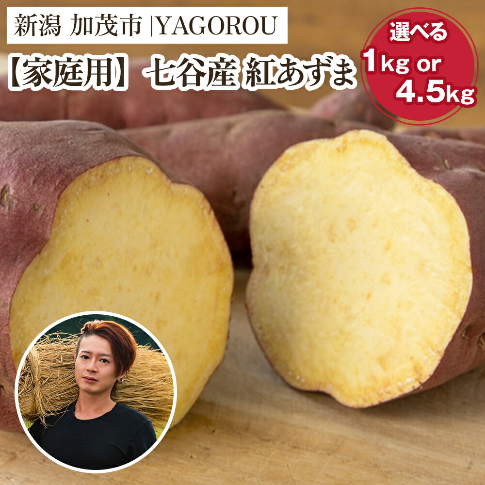 【ふるさと納税】【2025年先行予約】【家庭用】紅あずま （A品・B品混在）選べる 「1kg」 or 「4.5kg」 新潟県加茂市七谷産 さつまいも《10月下旬〜順次発送》 サツマイモ お芋 焼き芋 スイートポテト 野菜 根菜 低温熟成 加茂市 YAGOROU ヤゴロウ