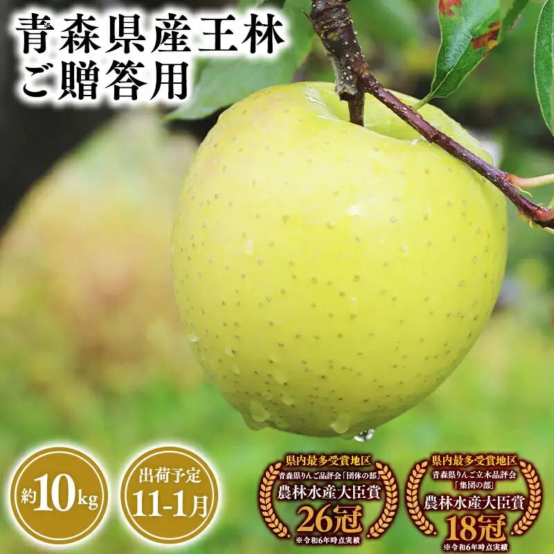 りんご 贈答用 王林10kg [hi-0053-046]