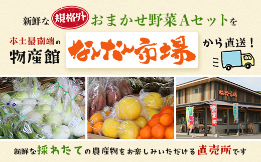 【規格外】本土最南端から 旬のおまかせ野菜セットA 10品目以上 NI-3 ｜ 旬 野菜 やさい 果物 くだもの 産地直送 農産物 冷蔵 鹿児島県 南大隅町産 詰合せ おまかせ 家庭用 訳あり なんた
