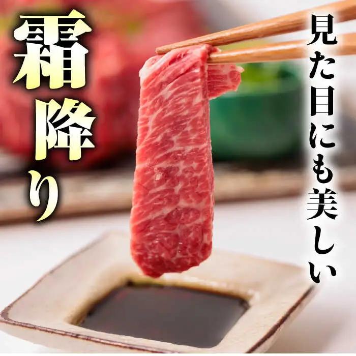 6回定期便サシが決めてトロ?り馬刺しセット計約500g 利他フーズ馬刺しZBK017
