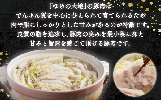 【平取町産四元豚】ゆめの大地豚バラスライス　200g×15パック計３ｋｇ BRTD002