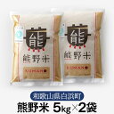 【ふるさと納税】熊野米 5kg×2袋　合計10kg　ブランド米 白米 精米 ご飯 ごはん コメ こめ 米 | お米 こめ 白米 食品 人気 おすすめ 送料無料