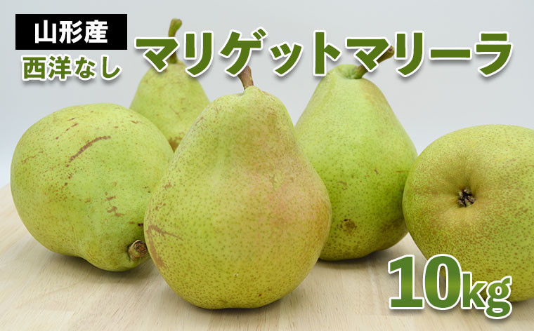 
                  山形市産 西洋なし(マリゲットマリーラ) 秀 10kg(5kg×2) 14玉～30玉 【令和8年産先行予約】FS24-585 くだもの 果物 フルーツ 山形 山形県 山形市 2026年産
                
