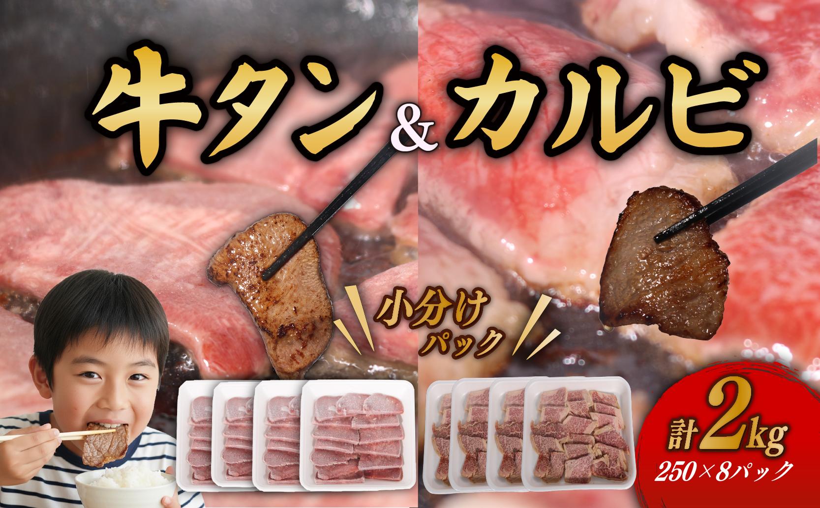 
                  カルビ＆牛タンセット 計2kg たん かるび 肉 極厚 12mm おすすめ 厚切り 牛たん 小分け 冷凍 味付き レモンだれ タレ漬け 焼肉 牛肉 バーベキュー BBQ グリル フライパン 焼くだけ 簡単調理 国産 お肉定期便 牛肉定期便 牛タン定期便 室戸市 高知県 
                