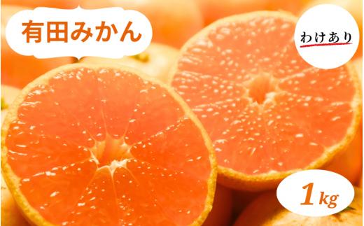 和歌山県産 有田みかん 1kg 訳あり ※2024年10月下旬～2025年1月中旬頃に順次発送予定（お届け日指定不可)