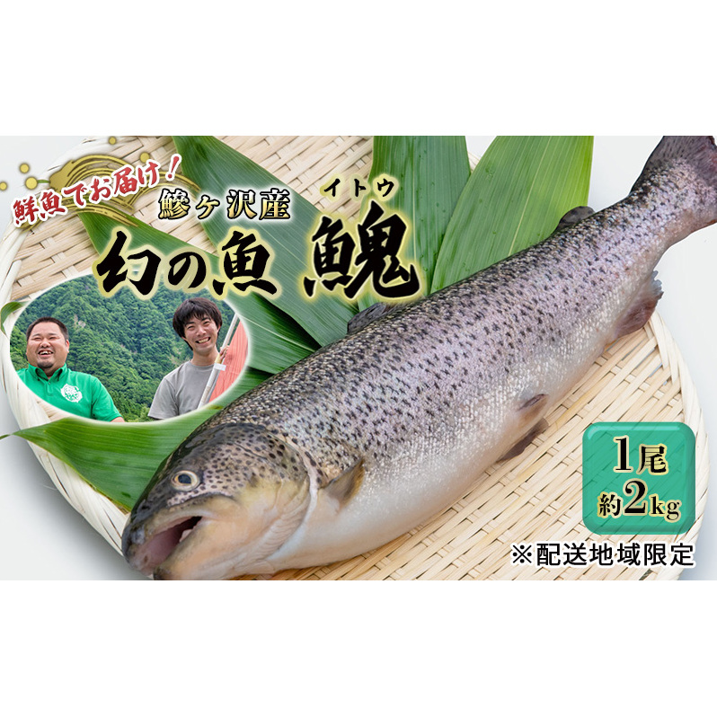 鮮魚 幻の魚 イトウ 1尾 約2kg 魚 川魚 魚介 魚介類 海鮮 お刺身 刺し身 おかず おつまみ つまみ お酒のつまみ 酒のつまみ 幻 魚 青森 青森県 鰺ヶ沢町 ※配送地域限定