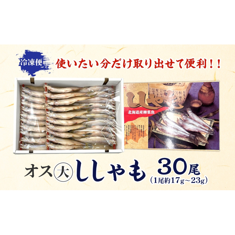 北海道産ししゃもオス大30尾 北海道 稀少 魚 シシャモ オス おつまみ 魚貝類 干物 本物 人気 希少 塩 味付け 脂のり 旨み 美味しい 大きい_イメージ4