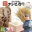 【ふるさと納税】定期便 ≪3ヶ月連続お届け≫ 令和6年産 新米 長谷川農園の コシヒカリ 白米 5kg × 3回 (計15kg) 【お米 こしひかり 5キロ 精米 ブランド米 ふるさと納税米 産地直送】