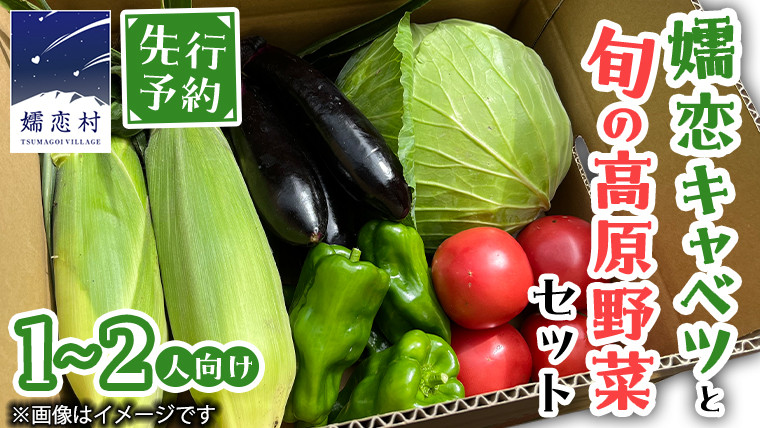 
            【 8月 下旬発送開始】 嬬恋キャベツ と旬の 高原 野菜 セット 1～2人 様向け 旬の野菜 先行予約 キャベツ 群馬 419 嬬恋キャベツ 産地直送 少量 詰め合わせ アソート [AK001tu]
          