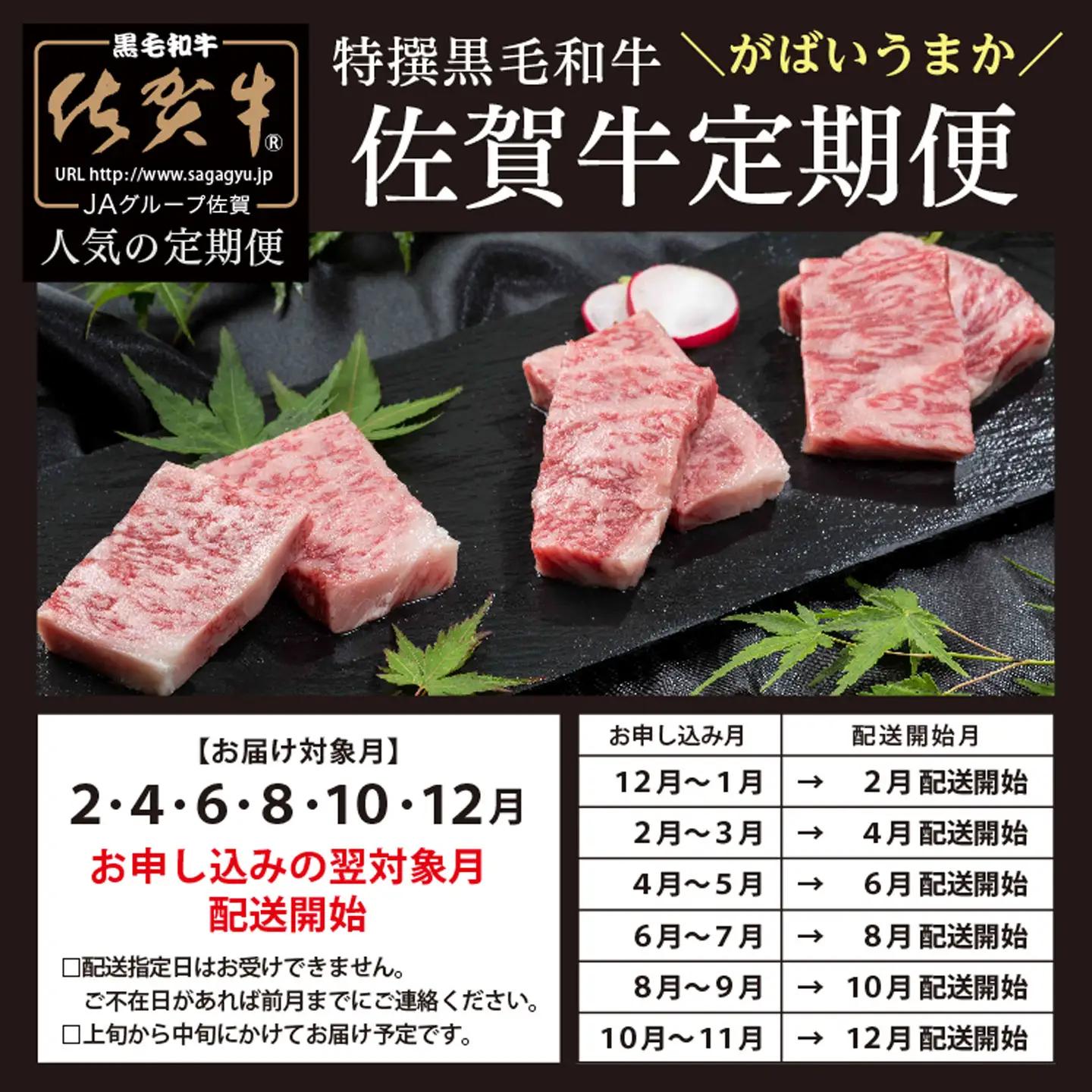 f-18【定期便6回】佐賀牛を偶数月に6回お届け 食べ比べ
