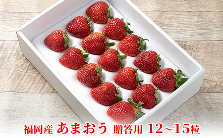 いちご あまおう 贈答用 12～15粒 福岡のいちご いちご