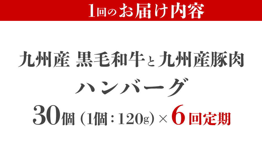 ＜定期便・全6回＞九州産黒毛和牛と九州産豚肉 ハンバーグ 30個セット | 国産牛 国産豚 肉汁 ジューシー 九州産 個包装 小分け 無添加 冷凍 惣菜 おかず 夕食 時短 簡単調理 送料無料 福岡県