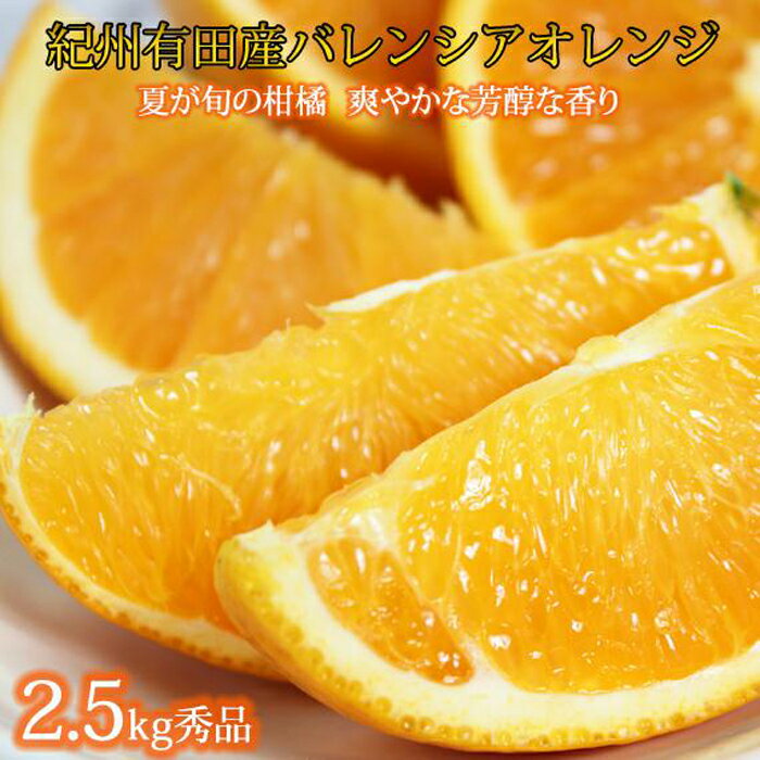 【ふるさと納税】秀品 希少な国産バレンシアオレンジ 2.5kg【2025年6月下旬頃～2025年7月上旬頃に順次発送】【UT75】 | フルーツ 果物 くだもの 食品 人気 おすすめ 送料無料