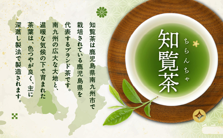煎茶ティーバッグ 15個入り （ 7袋セット ） K346-005_04 知覧茶 お茶 茶 鹿児島茶 前茶 ティーバック 甘い まろやか ブランド茶 緑茶 全国茶審査技術大会 日本茶 美味しい リラッ