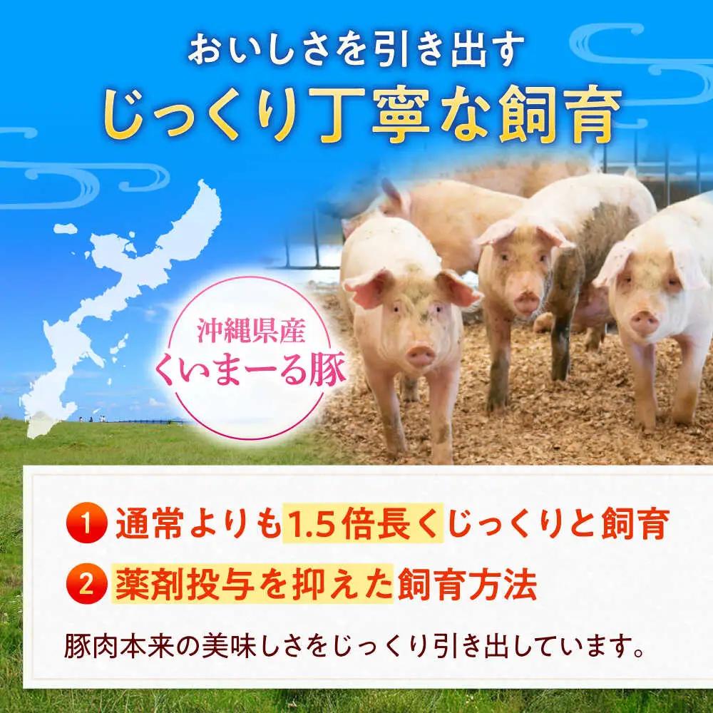 豚肉切り落とし 500g×5パック 豚肉切り落とし BCAJ013