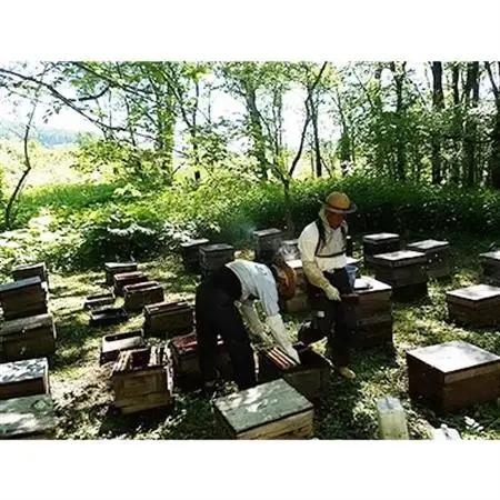 北海道産天然はちみつ　百花蜜　1kg【配送不可地域：離島・沖縄県】【1056689】