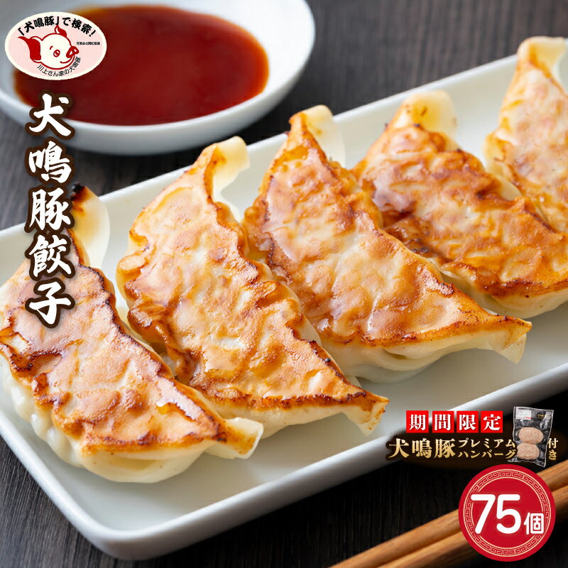 【ふるさと納税】期間限定 泉佐野ブランド 犬鳴豚餃子 75個 25個 × 3パック ハンバーグ付き 国産豚肉 肉餃子 お肉の甘み 犬鳴ポーク 餃子 焼き餃子 惣菜 おかず おつまみ 中華 食品 食べ物 冷凍 お取り寄せグルメ 大阪府 泉佐野市 送料無料