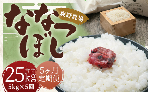 【2026年10月上旬発送開始予定】【5ヶ月定期便】らんこし米 ななつぼし約5kg