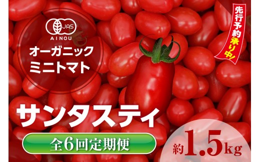 【全6回定期便】【先行予約】《2026年12月以降発送開始》オーガニックミニトマト（サンタスティ）約1.5kg｜野菜 プチトマト 高糖度