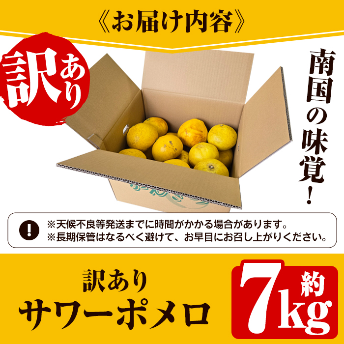 ＜先行予約受付中！2026年2月下旬以降発送予定＞＜訳あり・傷あり＞数量限定！サワーポメロ(約7kg) 国産 フルーツ 果物 柑橘類 サワーポメロ 甘味 酸味 デザート おやつ 訳あり【なかむら果樹園