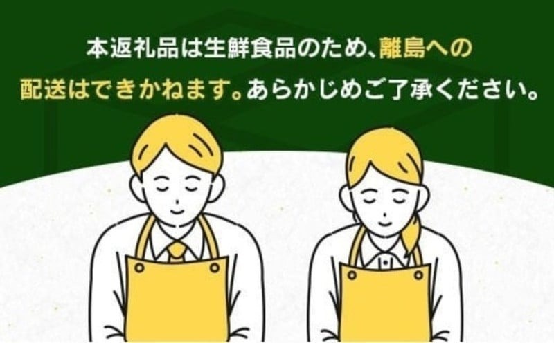 数量限定 津之輝 計2.5kg以上 果物 フルーツ くだもの みかん 柑橘 先行予約 2025年 期間限定 デザート おやつ ジュース フルーツサンド おすすめ 国産 食品 ギフト 贈り物 贈答 ご褒