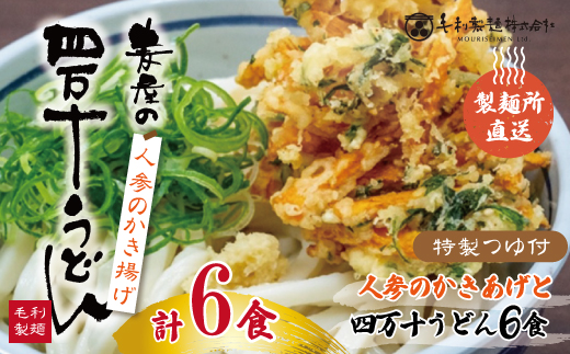 26-797．【数量限定】四万十うどんと人参のかき揚げ６食セット